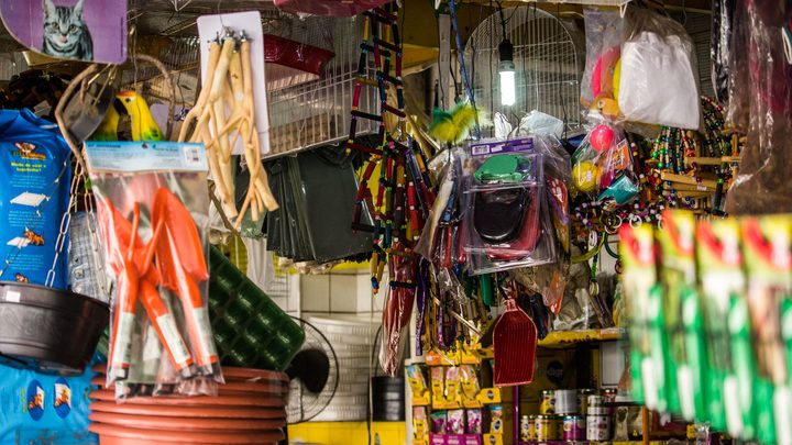 Prateleiras de pet shop com coleiras, brinquedos e produtos