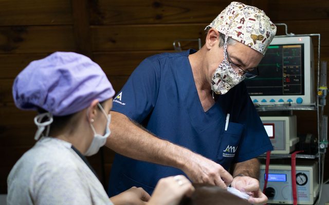 Equipe veterinária em centro cirúrgico