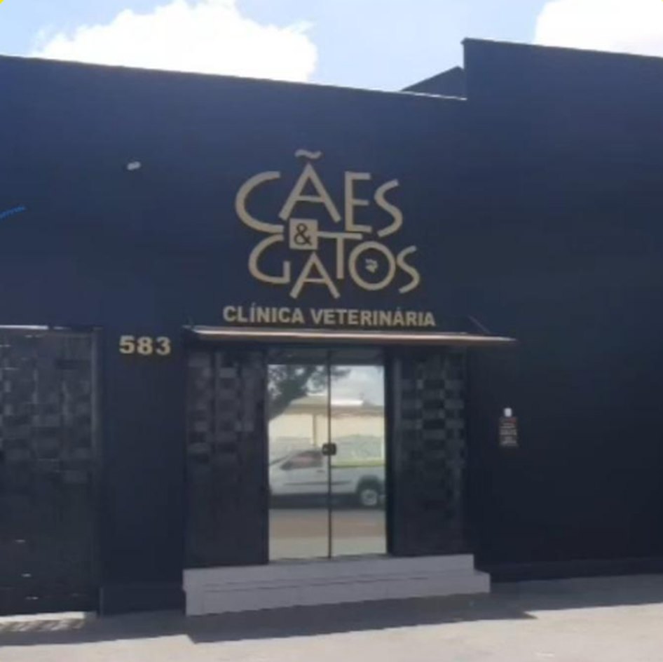 Fachada da clínica veterinária Cães & Gatos na R. Santa Catarina, 583, Centro de Londrina
