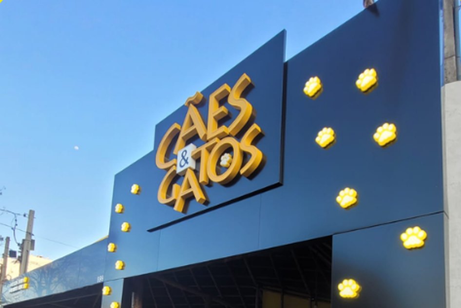 Fachada do pet shop Cães & Gatos na Av. Me. Leônia Milito, com letreiro dourado e patinhas iluminadas